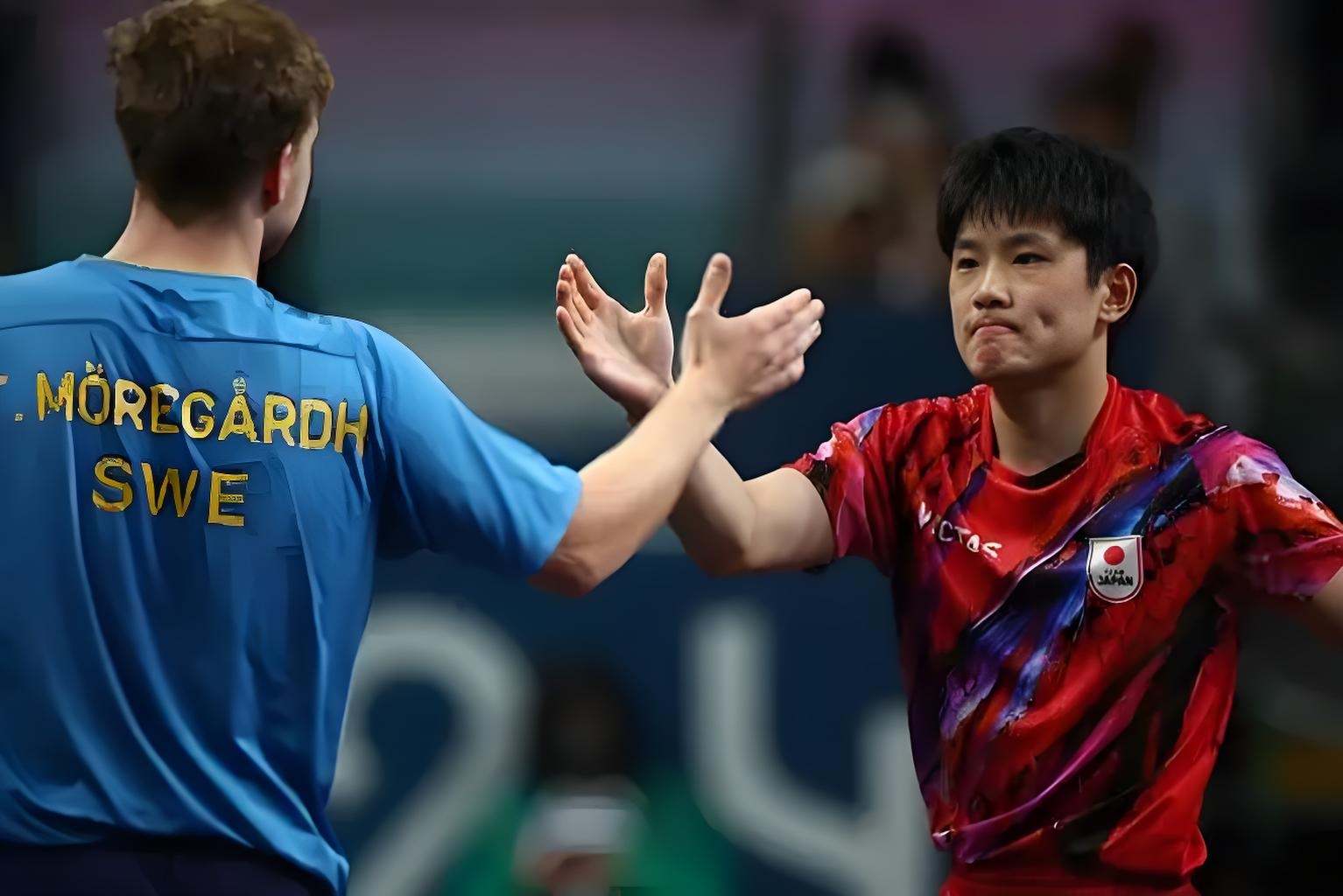 关于波兰队横扫韩国队，张本智和关键制胜的信息